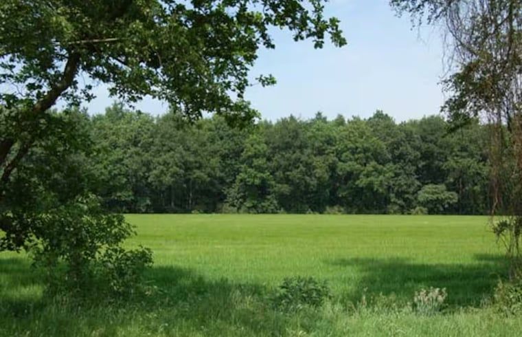 Groene velden rondom Vakantiehuisje in Hooghalen, prachtige natuur in Midden Drenthe, Drenthe.