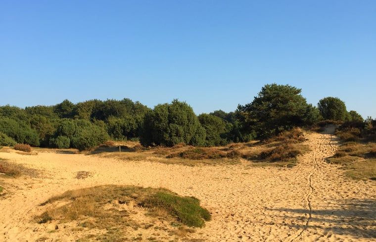 Discover the sand dunes near Holiday home in Mantinge, an adventurous vacation destination in Midden Drenthe, Drenthe.