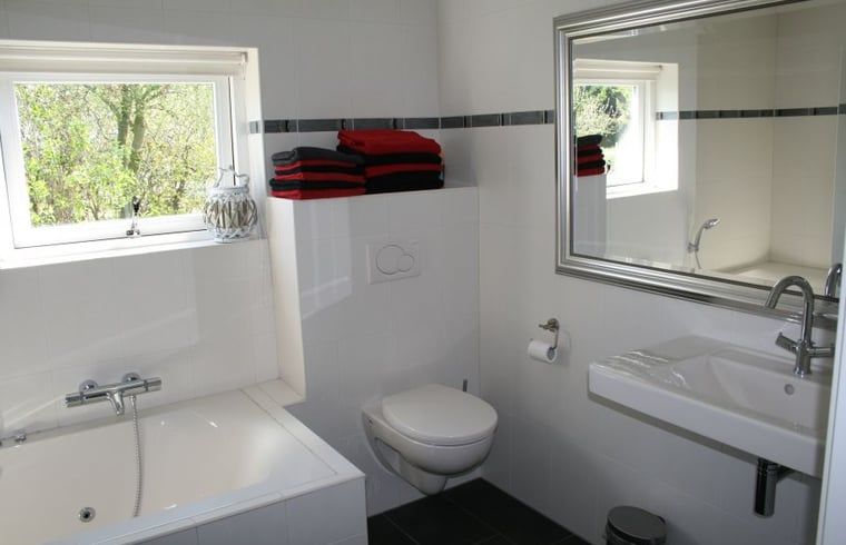 Stijlvolle badkamer met bad in Huisje in Eesergroen, vakantiehuis in het rustige Midden Drenthe.