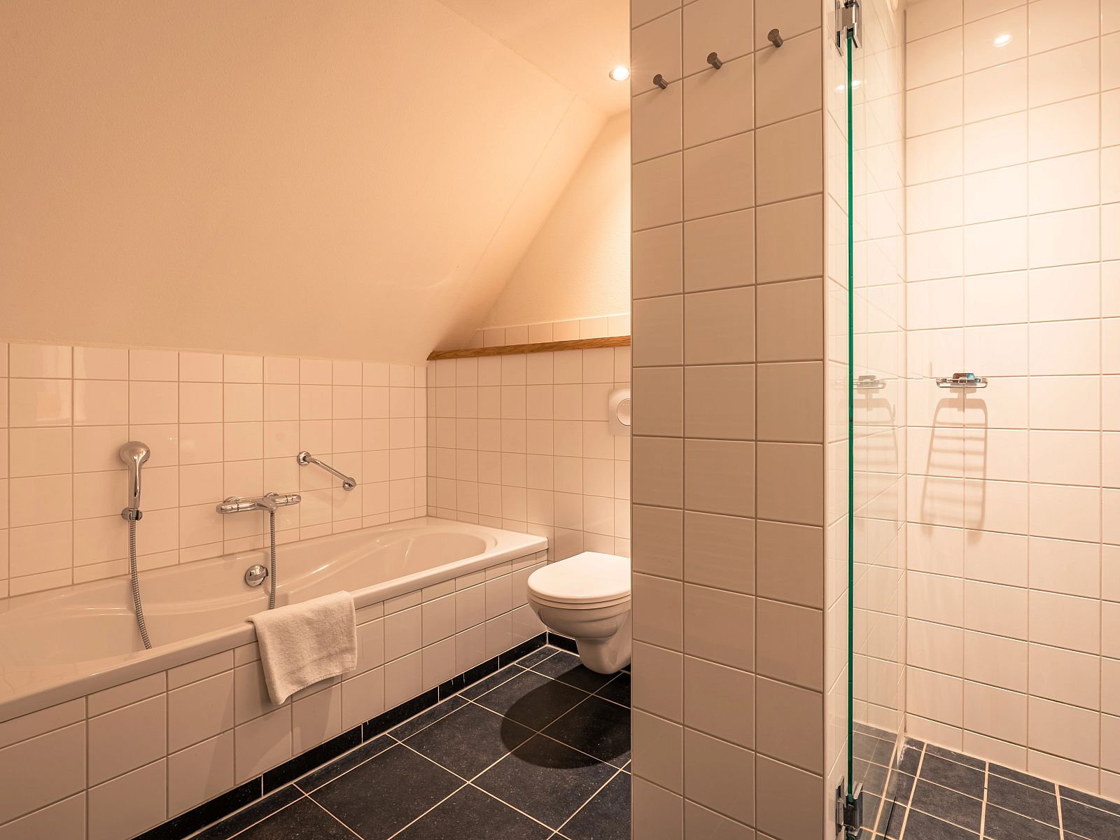 Unterkunft 173291 - Bungalow Midden Drenthe - Hof van Saksen | 10-persoons 'kinder'boerderij | 10CEK