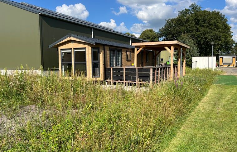 Vacation cottage in Eeserveen, Drenthe with sunny terrace and surrounding nature.