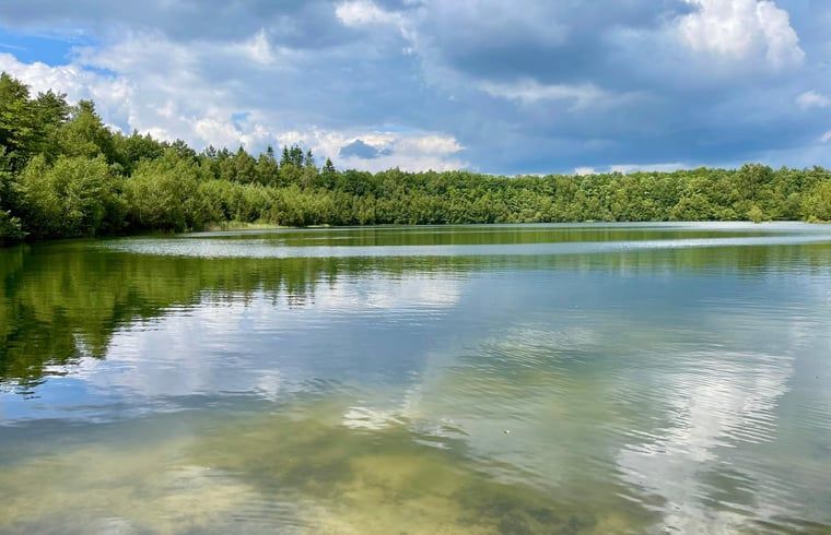 Peaceful lake with lush forests near Holiday home in Eeserveen, Drenthe.