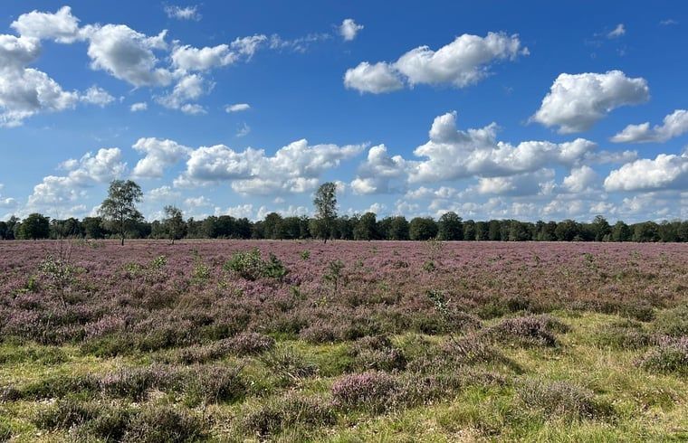 Vast moorlands around Holiday home in Eeserveen, Drenthe under blue skies.