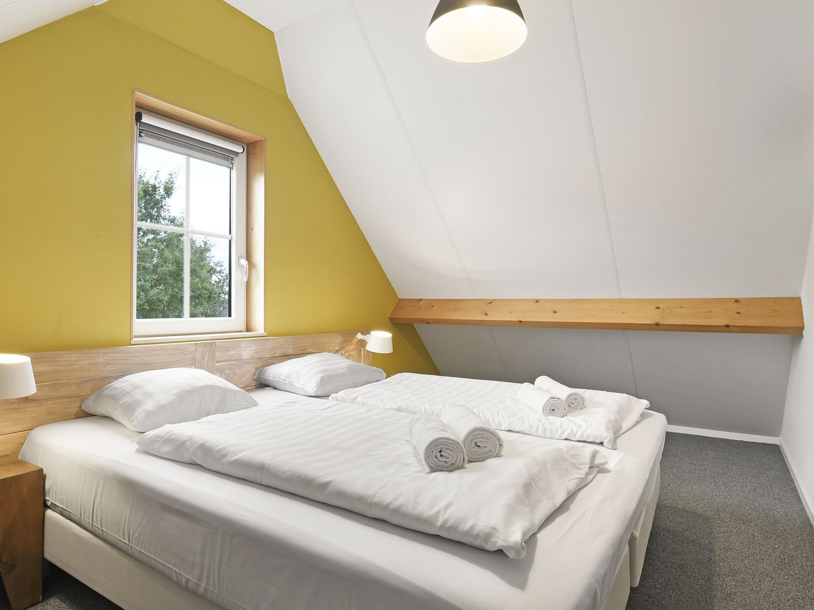 Unterkunft 173452 - Bungalow Midden Drenthe - Orveltermarke | Drentse Hoeve | 4L