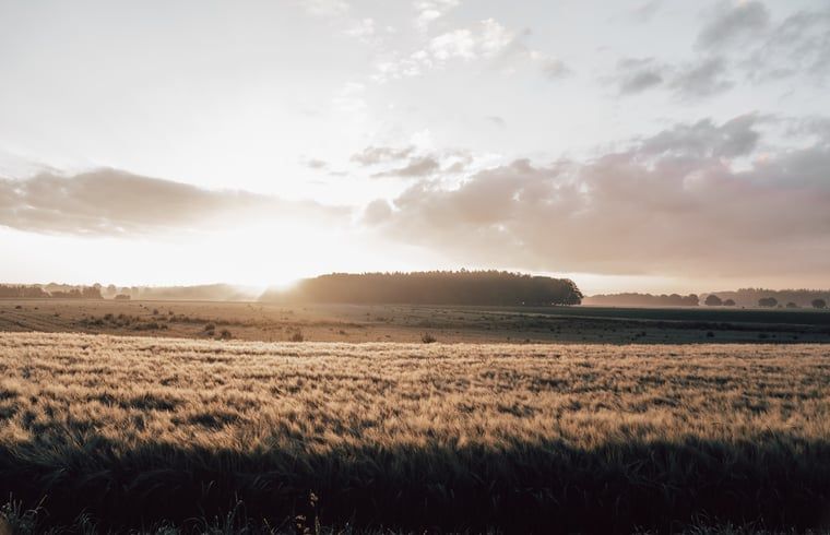 Adembenemend uitzicht op het Drentse landschap bij Vakantiehuis in Odoorn, perfect voor natuurliefhebbers.