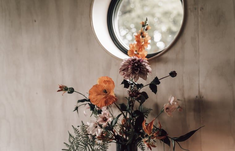 Panoramisch uitzicht vanuit de woonkamer van Vakantiehuis in Odoorn, Midden Drenthe, met toegang tot de natuur.