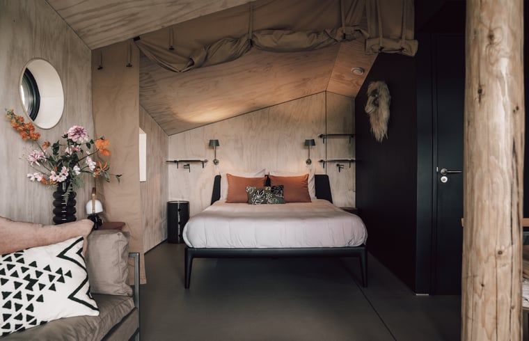 Zonlicht speelt met schaduwen in Vakantiehuis in Odoorn, Midden Drenthe, voor een serene ambiance.