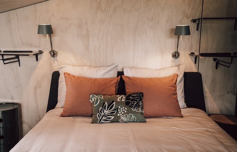 Decoratieve elementen in Vakantiehuis in Odoorn, Midden Drenthe, voor een unieke sfeer.