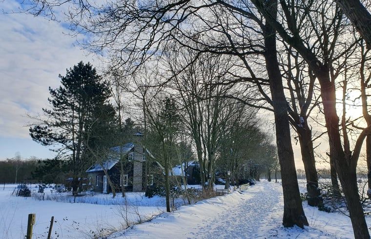 Unterkunft 173803 - Ferienhaus Midden Drenthe - Vakantiehuis in Geeuwenbrug