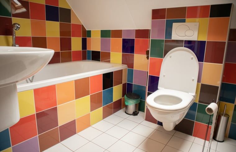 Unterkunft 173803 - Ferienhaus Midden Drenthe - Vakantiehuis in Geeuwenbrug