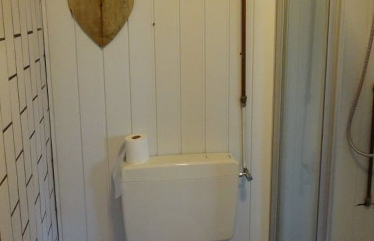 Badezimmer im Ferienhaus in Geeuwenbrug, Midden Drenthe, mit rustikaler Holzvertaefelung und moderner Ausstattung.