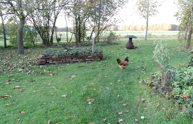 Unterkunft 173804 - Ferienhaus Midden Drenthe - Vakantiehuisje in Geeuwenbrug