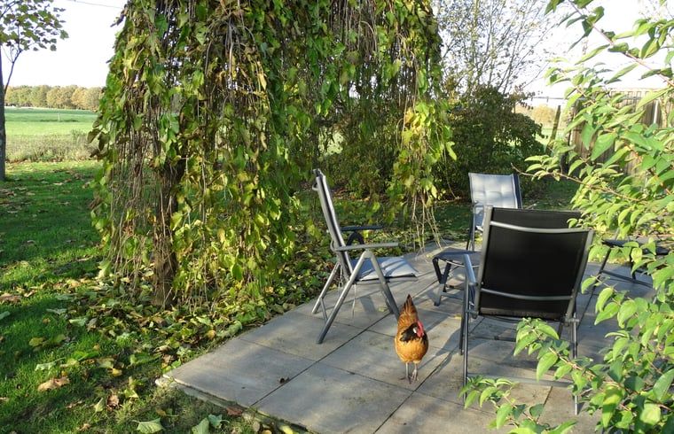 Unterkunft 173804 - Ferienhaus Midden Drenthe - Vakantiehuisje in Geeuwenbrug