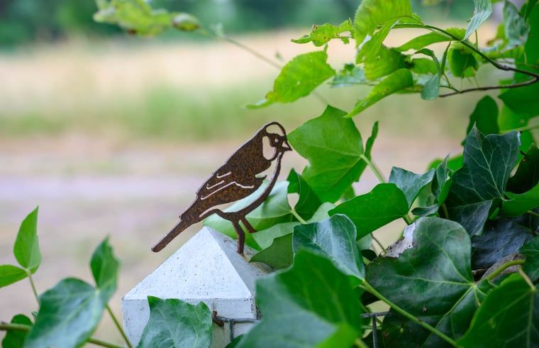 Decoratief vogeltje bij Huisje in Nieuw Balinge, vakantiehuis in de natuur van Midden Drenthe.