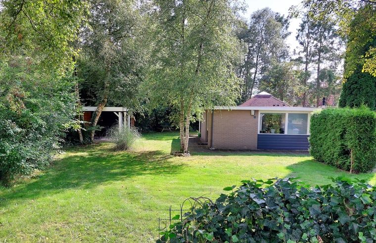 Groene tuin van Huisje in Nieuw Balinge, vakantiehuis in de natuur van Nieuw-Balinge.