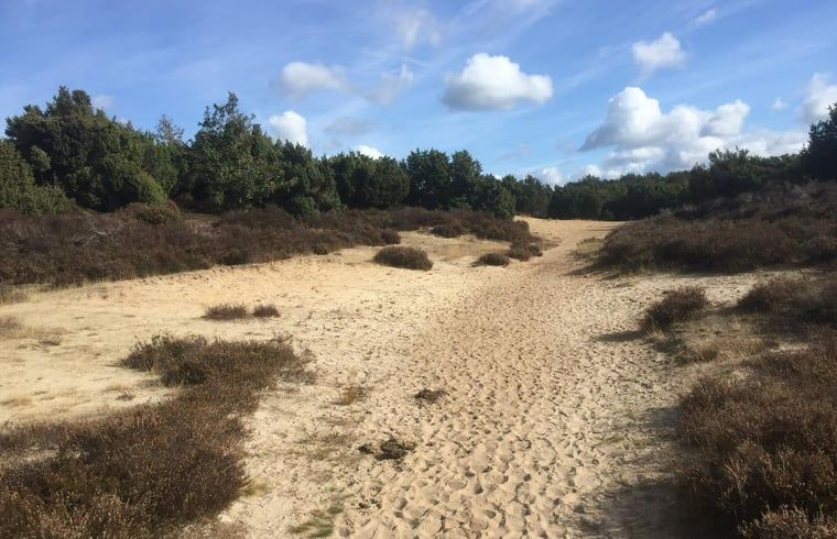 Zandpad in de buurt van Huisje in Nieuw Balinge, perfect voor natuurliefhebbers in Drenthe.
