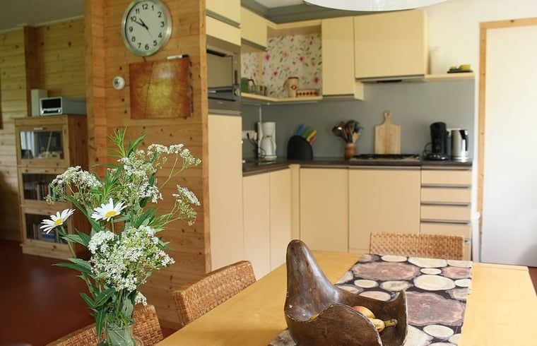 Voll ausgestattete Kueche im Ferienhaus in Nieuw Balinge, Midden Drenthe, mit modernen Annehmlichkeiten.