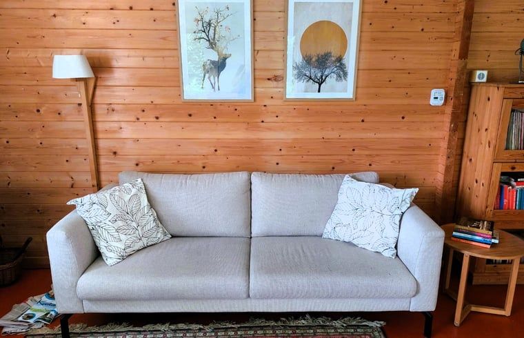 Gemuetliche Sitzecke im Ferienhaus in Nieuw Balinge, Zentral-Drenthe, mit bequemem Sofa und Kunst an der Wand.