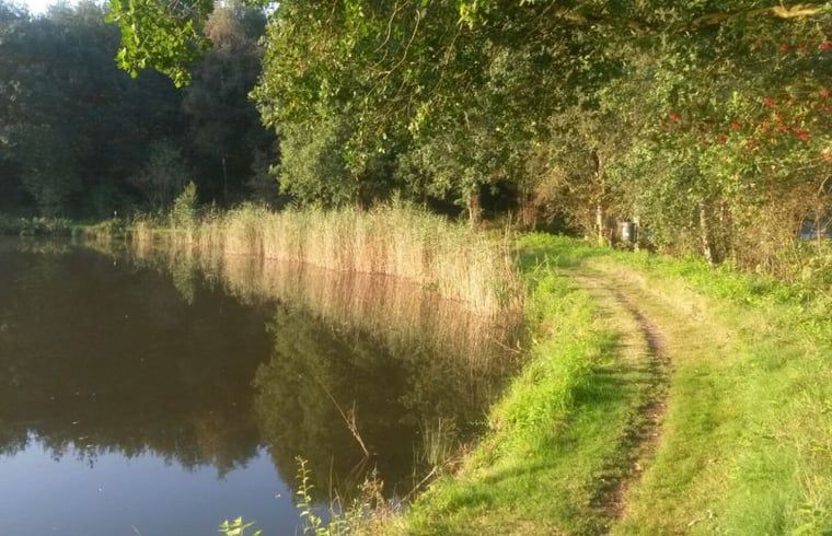 Unterkunft 173907 - Ferienhaus Midden Drenthe - Vakantiehuisje in Nieuw Balinge