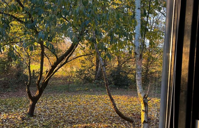 Unterkunft 173908 - Ferienhaus Midden Drenthe - Huisje in Nieuw Balinge