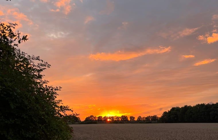 Unterkunft 173908 - Ferienhaus Midden Drenthe - Huisje in Nieuw Balinge