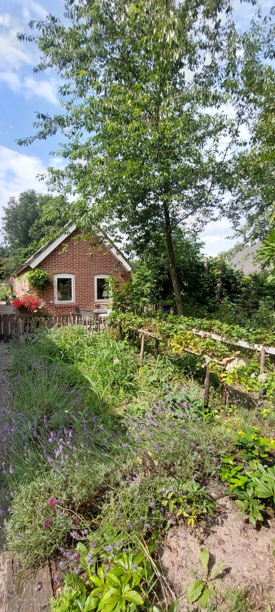 Guest house 174009 - Holiday property Midden Drenthe - DG1845