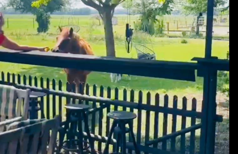 Unterkunft 174602 - Ferienhaus Midden Drenthe - Vakantiehuisje in Zuidveld