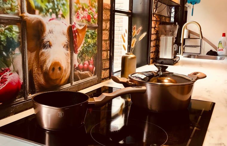 Unterkunft 174602 - Ferienhaus Midden Drenthe - Vakantiehuisje in Zuidveld