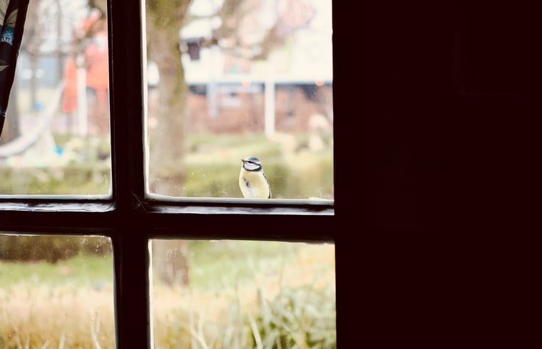 Unterkunft 174602 - Ferienhaus Midden Drenthe - Vakantiehuisje in Zuidveld