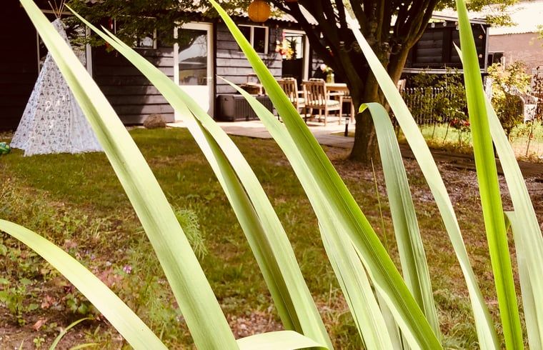 Unterkunft 174602 - Ferienhaus Midden Drenthe - Vakantiehuisje in Zuidveld