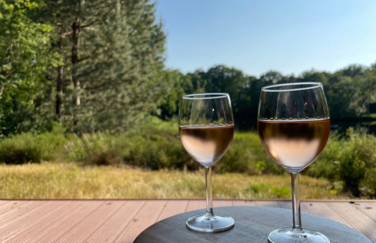 Twee glazen wijn op het terras van Huisje in Een, Drenthe met uitzicht op de natuur.
