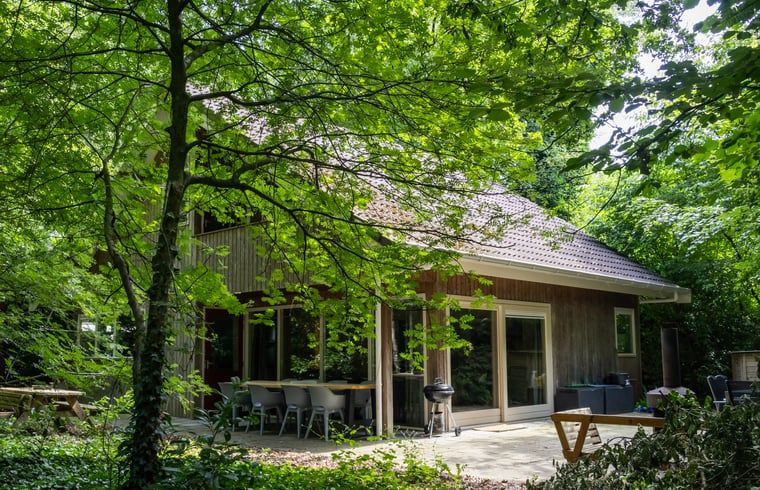 Entspannen Sie sich auf der Terrasse von Huisje in Een, einem Ferienhaus im gruenen Drenthe, Nord-Drenthe, umgeben von ueppiger Natur.