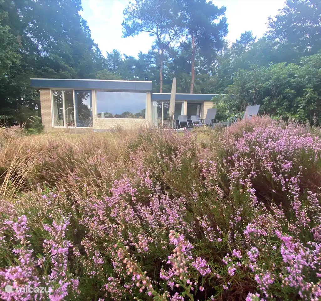 Guest house 180221 - Bungalow Noord Drenthe - Vakantiehuisje Kikker