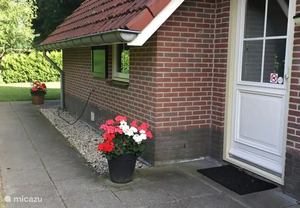 Guest house 180225 - Holiday property Noord Drenthe - Zanglijster 17