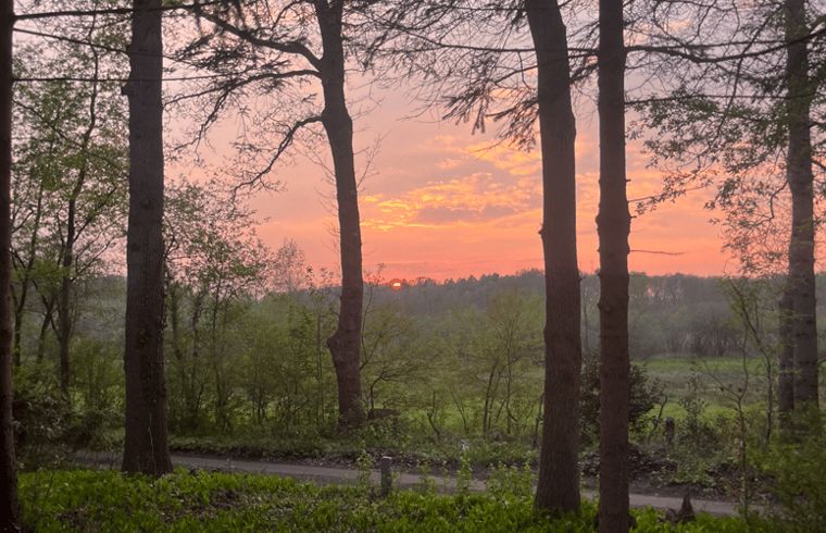 Verblijf 180507 - Vakantiewoning Noord Drenthe - Vakantiehuis in Zuidlaren