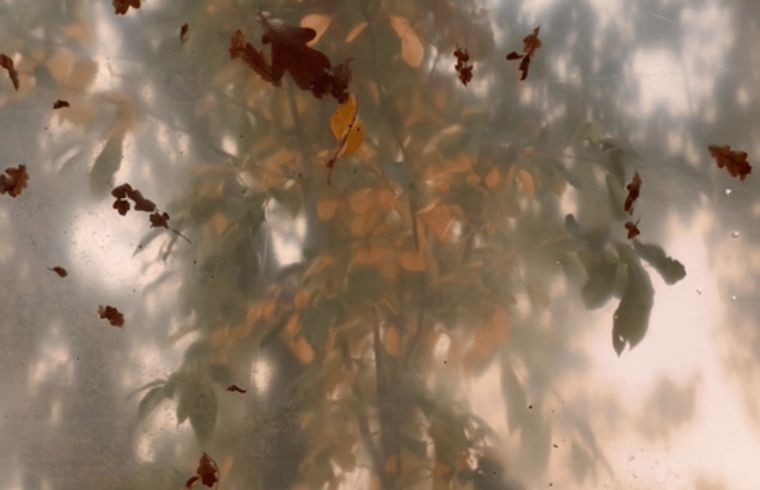 Verblijf 180507 - Vakantiewoning Noord Drenthe - Vakantiehuis in Zuidlaren