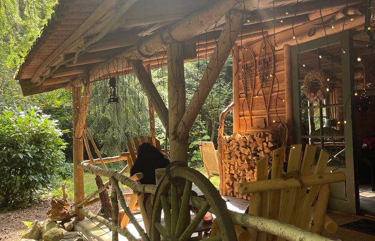 Gezellige veranda van Huisje in Norg, vakantiehuis in Norg, Noord Drenthe, omgeven door weelderige natuur.