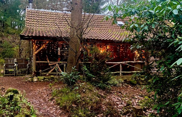 Charmant vakantiehuis Huisje in Norg, gelegen in het bosrijke Norg, Noord Drenthe, met sfeervolle verlichting.