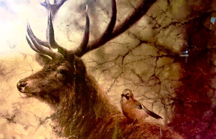 Verblijf 1809119 - Vakantiewoning Noord Drenthe - Huisje in Norg