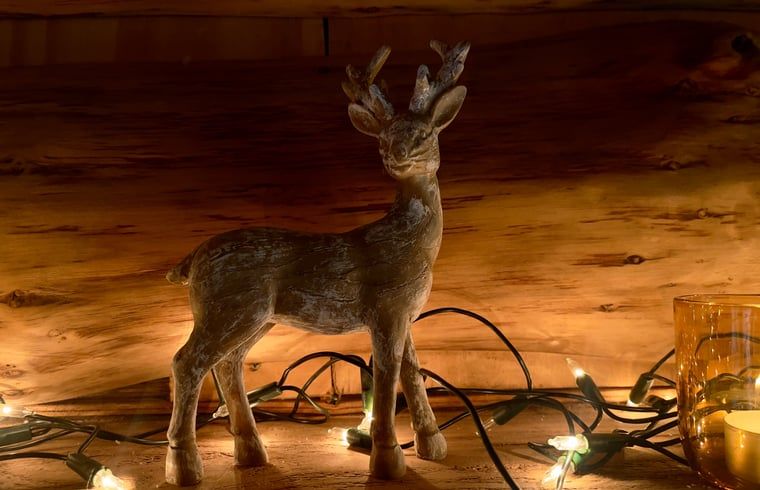 Verblijf 1809119 - Vakantiewoning Noord Drenthe - Huisje in Norg