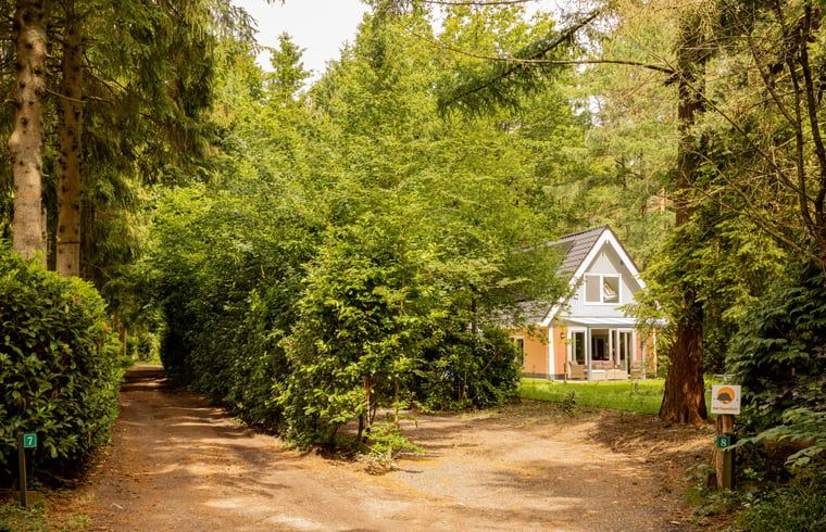 Ferienhaus in Norg, umgeben von gruener Natur in Nord-Drenthe, ideal fuer Ruhe und Entspannung.