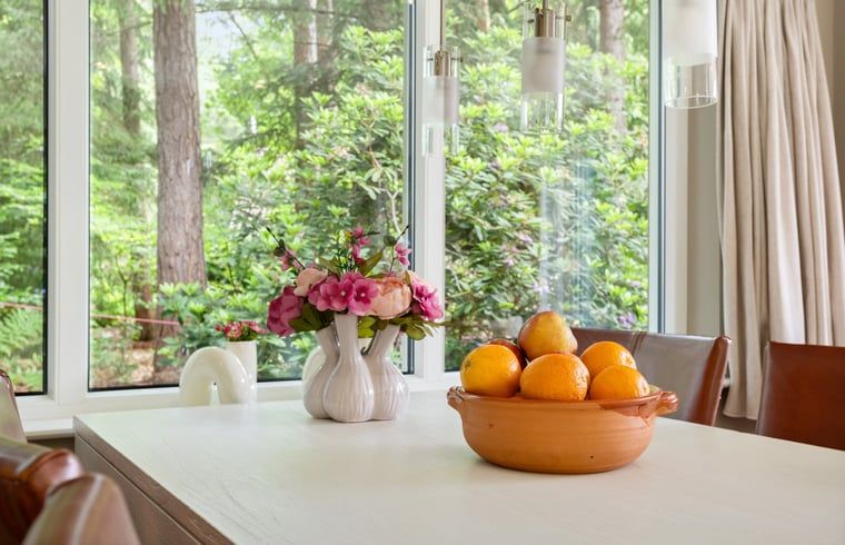 Unterkunft 1809122 - Ferienhaus Noord Drenthe - Huisje in Norg