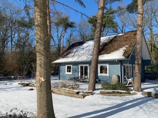 Verblijf 1809130 - Vakantiewoning Noord Drenthe - l'Oiseau Bleu (Z11 Norg)