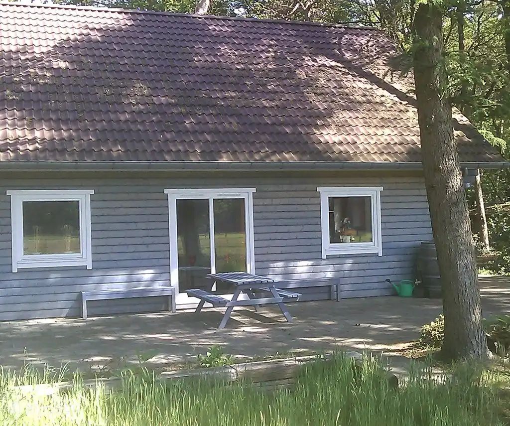 Verblijf 1809130 - Vakantiewoning Noord Drenthe - l'Oiseau Bleu (Z11 Norg)