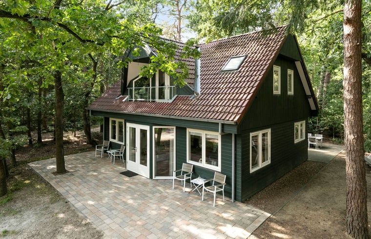 Vakantiehuisje in Norg, Noord Drenthe biedt een gezellig terras omringd door natuur.
