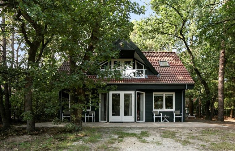 Charmant Vakantiehuisje in Norg, Drenthe met ruime veranda en groene omgeving.