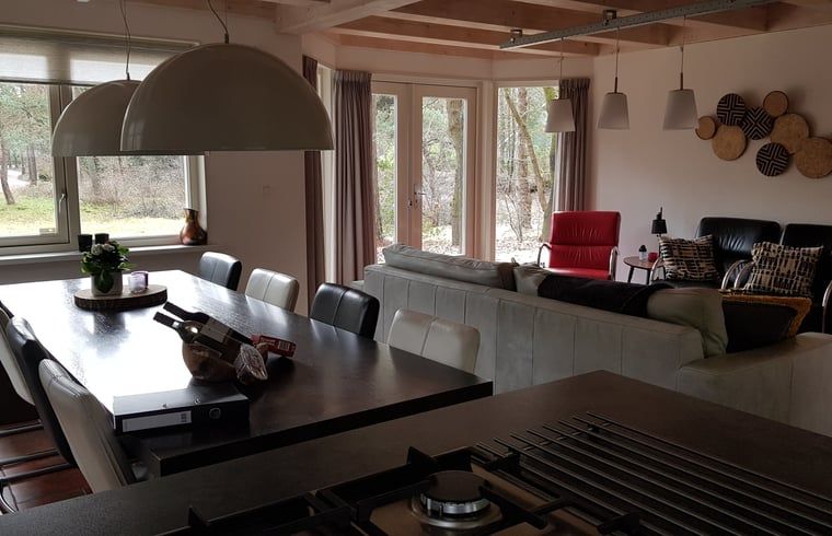 Vakantiehuisje in Norg, Drenthe met open woonkamer en uitzicht op de tuin.