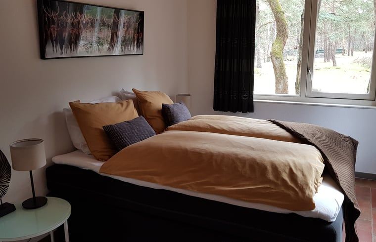 Slaapkamer in Vakantiehuisje in Norg, Noord Drenthe met comfortabel bed en boszicht.