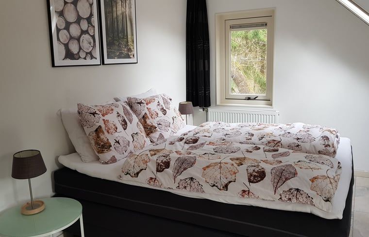 Tweede slaapkamer van Vakantiehuisje in Norg, Noord Drenthe met knusse inrichting.