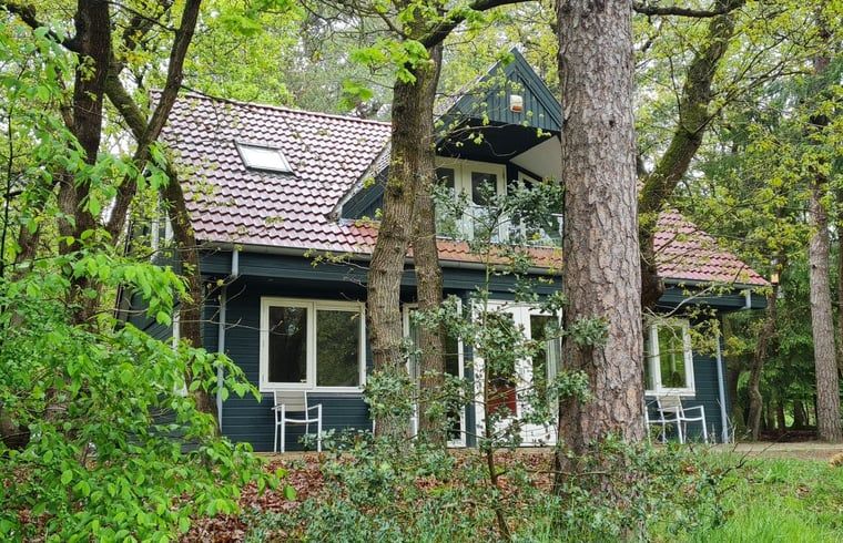Vakantiehuisje in Norg, Noord Drenthe omgeven door hoge bomen en groen.